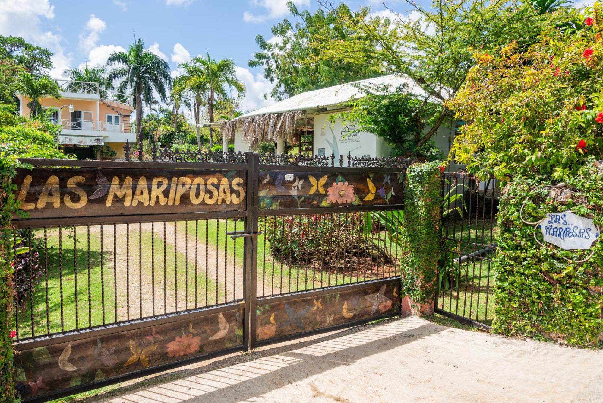 Las Mariposas ラス・ガレラス エクステリア 写真